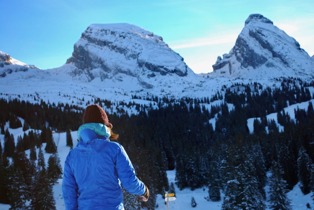 Churfirsten im Hintergrund