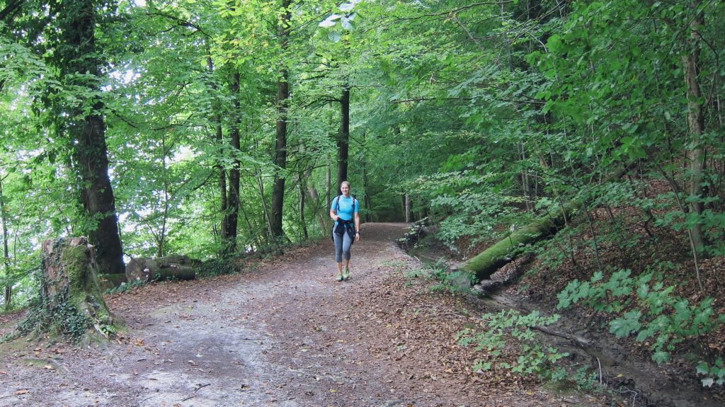 Wanderweg Seegang: der Uferweg zwischen Wallhausen und der Marienschlucht