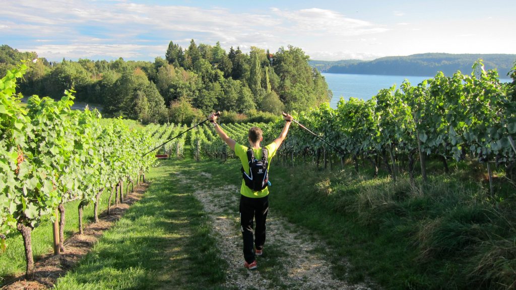 Wanderweg Seegang: kurz vor Überlingen