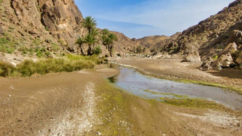 Trekking Djebel Sarhro