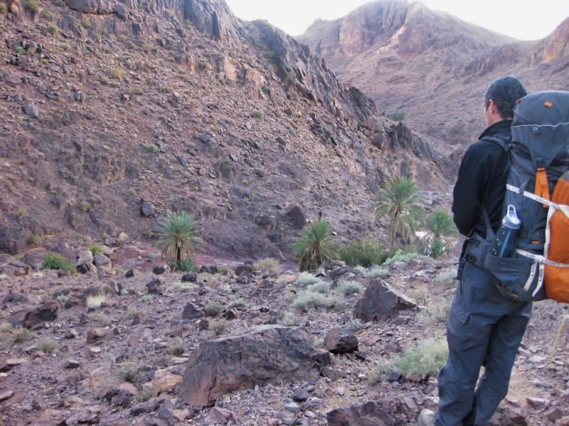 Trekking Djebel Sarhro